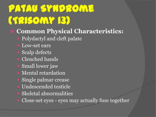 Patau Syndrome
(Trisomy 13)
   Common Physical Characteristics:
       Polydactyl and cleft palate
       Low-set ears
       Scalp defects
       Clenched hands
       Small lower jaw
       Mental retardation
       Single palmar crease
       Undescended testicle
       Skeletal abnormalities
       Close-set eyes - eyes may actually fuse together
 