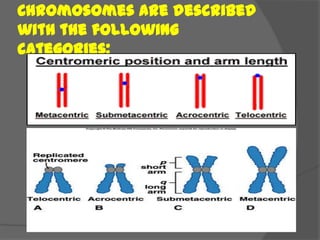 Chromosomes are described
with the following
categories:
 