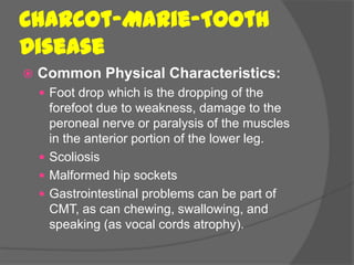 Charcot-Marie-Tooth
Disease
   Common Physical Characteristics:
     Foot drop which is the dropping of the
      forefoot due to weakness, damage to the
      peroneal nerve or paralysis of the muscles
      in the anterior portion of the lower leg.
     Scoliosis
     Malformed hip sockets
     Gastrointestinal problems can be part of
      CMT, as can chewing, swallowing, and
      speaking (as vocal cords atrophy).
 