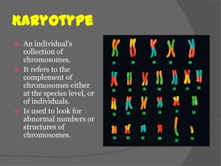Karyotype
   An individual's
    collection of
    chromosomes.
   It refers to the
    complement of
    chromosomes either
    at the species level, or
    of individuals.
   Is used to look for
    abnormal numbers or
    structures of
    chromosomes.
 