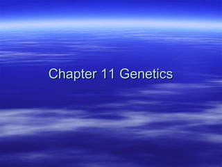 Chapter 11 Genetics 