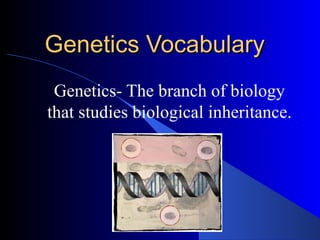 Genetics Vocabulary Genetics- The branch of biology that studies biological inheritance. 