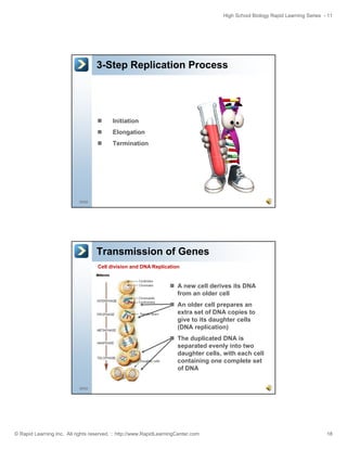 High School Biology Rapid Learning Series - 11

3-Step Replication Process

Initiation
Elongation
Termination

35/52

Transmission of Genes
Cell division and DNA Replication

A new cell derives its DNA
from an older cell
An older cell prepares an
extra set of DNA copies to
give to its daughter cells
(DNA replication)
The duplicated DNA is
separated evenly into two
daughter cells, with each cell
containing one complete set
of DNA
36/52

© Rapid Learning Inc. All rights reserved. :: http://www.RapidLearningCenter.com

18

 
