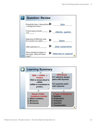 High School Biology Rapid Learning Series - 11

Question: Review

___________
DNA

Phosphate base + deoxyribose
+ nitrogenous base =
Purine bases include ______
and _____.

Segments of DNA that code
for a protein are called ____.

___________
Genes

DNA replication is _______.

49/52

___________
Adenine, guanine

___________
Semi-conservative

Gene mutations happen in
two ways. What are these
ways?

Inherited or acquired

___________

Learning Summary
DNA → mRNA →
Protein
DNA is transcribed to
mRNA.
mRNA is translated to
protein.

Result of DNA
mutations include:
1. Silent mutation.
2. Missense.
3. Nonsense.

DNA Bases
A:T adenine always
pairs with thymine
G:C guanine pairs
with cytosine.

5 Types of Mutations
yp
1. Deletion
2. Duplication
3. Inversion
4. Insertion
5. Translocation

50/52

© Rapid Learning Inc. All rights reserved. :: http://www.RapidLearningCenter.com

25

 