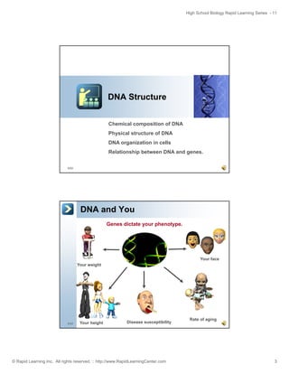 High School Biology Rapid Learning Series - 11

DNA Structure
Chemical composition of DNA
Physical structure of DNA
DNA organization in cells
Relationship between DNA and genes.
5/52

DNA and You
Genes dictate your phenotype.

Your face
Your weight

6/52

Your height

Disease susceptibility

© Rapid Learning Inc. All rights reserved. :: http://www.RapidLearningCenter.com

Rate of aging

3

 