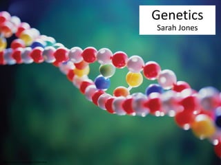 http://wakpaper.com/category/11/dna.html 
Genetics 
Sarah Jones 
 