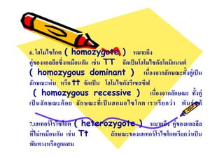 6. โฮโมไซโกต ( homozygote ) หมายถึง
คู่ของแอลลีลซึงเหมือนกัน เช่ น TT จัดเป็ นโฮโมไซกัสโดมิแนนต์
( homozygous dominant ) เนืองจากลักษณะทังคู่เป็ น
ลักษณะเด่ น หรือ tt จัดเป็ น โฮโมไซกัสรีเซสซีฟ
( homozygous recessive ) เนืองจากลักษณะ ทังคู่
เป็ นลั ก ษณะด้ อ ย ลั ก ษณะที เป็ นฮอมอไซโกต เราเรี ย กว่ า พั น ธุ์ แท้
7.เฮเทอร์ โรไซโกต ( heterozygote ) หมายถึง คู่ของแอลลีล
ทีไม่ เหมือนกัน เช่ น Tt
ลักษณะของเฮเทอร์ โรไซโกตเรียกว่ าเป็ น
พันทางหรือลูกผสม

 