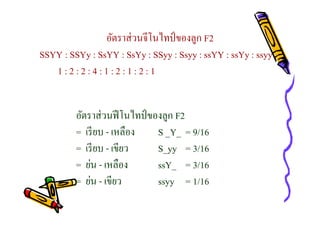 อัตราส่ วนจีโนไทป์ ของลูก F2
SSYY : SSYy : SsYY : SsYy : SSyy : Ssyy : ssYY : ssYy : ssyy
1:2:2:4:1:2:1:2:1
อัตราส่ วนฟี โนไทป์ ของลูก F2
= เรี ยบ - เหลือง
S _Y_ = 9/16
= เรี ยบ - เขียว
S_yy = 3/16
= ย่น - เหลือง
ssY_ = 3/16
= ย่น - เขียว
ssyy = 1/16

 