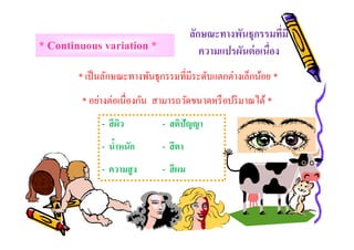 ลักษณะทางพันธุกรรมทีมี
ความแปรผันต่ อเนือง

* Continuous variation *

* เป็ นลักษณะทางพันธุ กรรมทีมีระดับแตกต่างเล็กน้อย *
* อย่างต่อเนืองกัน สามารถวัดขนาดหรื อปริ มาณได้ *
- สี ผว
ิ

- สติปัญญา

- นําหนัก

- สี ตา

- ความสู ง

- สี ผม

 