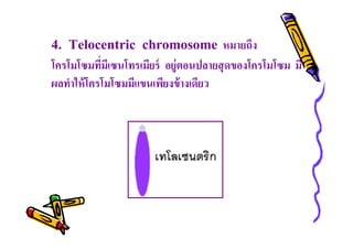 4. Telocentric chromosome หมายถึง
โครโมโซมทีมีเซนโทรเมียร์ อยู่ตอนปลายสุ ดของโครโมโซม มี
ผลทําให้ โครโมโซมมีแขนเพียงข้ างเดียว

 
