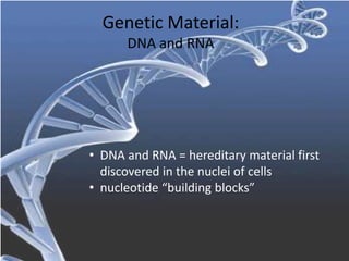 Genetic Material:
DNA and RNA
• DNA and RNA = hereditary material first
discovered in the nuclei of cells
• nucleotide “building blocks”
 