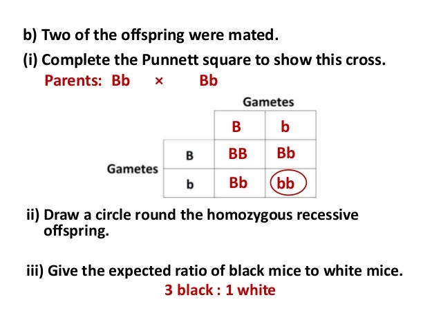 female genetics in symbol for Genetics female genetics in symbol for Genetics