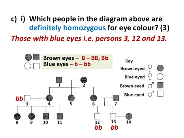 Eye Probability Chart