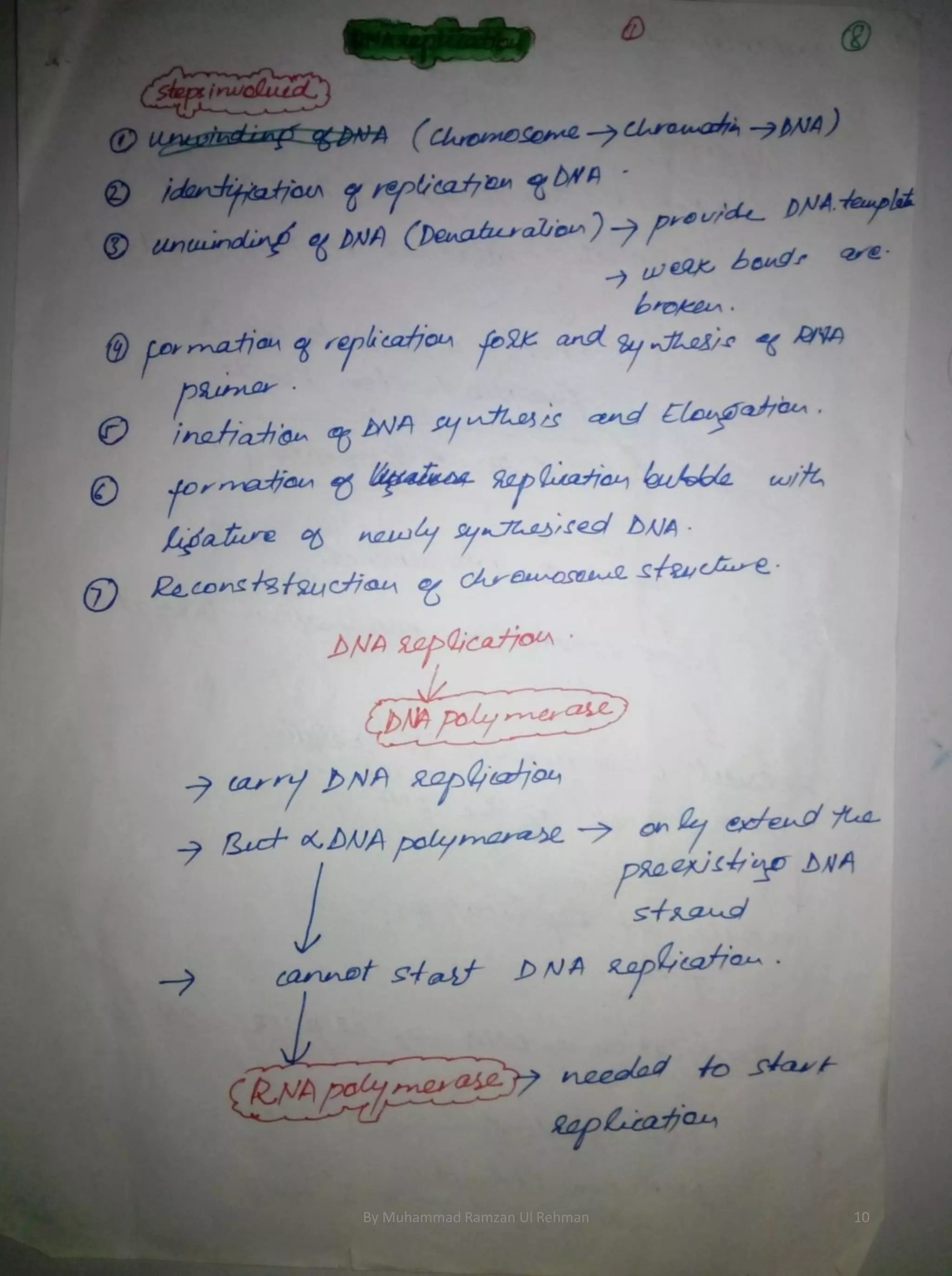 By Muhammad Ramzan Ul Rehman 10 
 