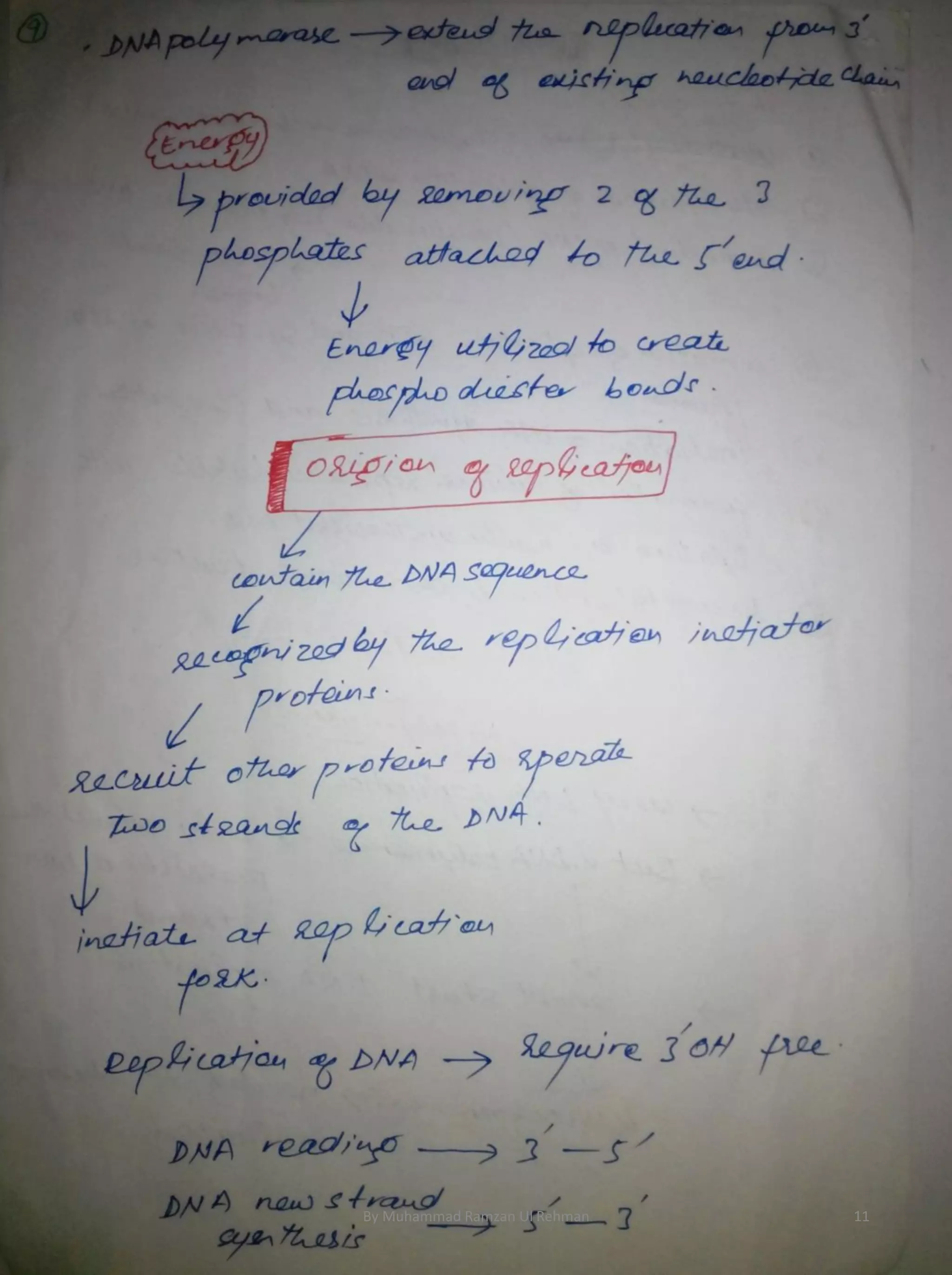 By Muhammad Ramzan Ul Rehman 11 
 