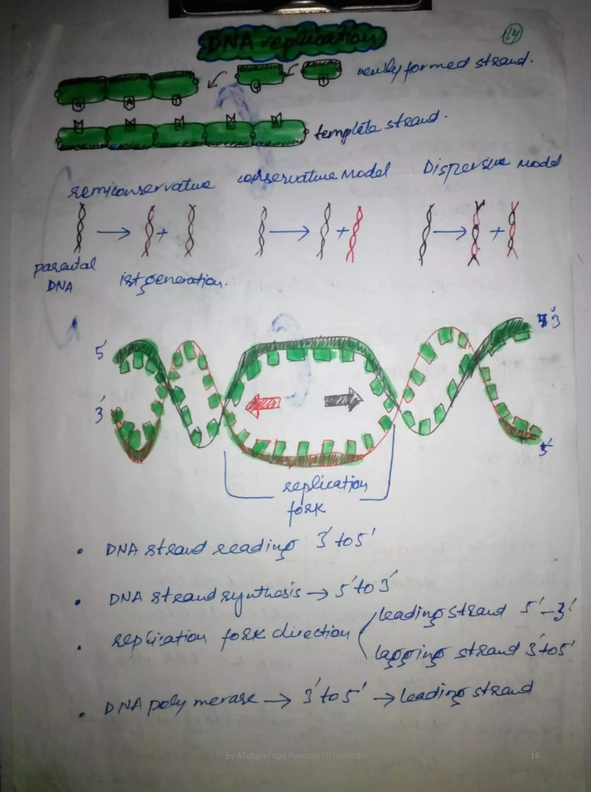 By Muhammad Ramzan Ul Rehman 16 
 