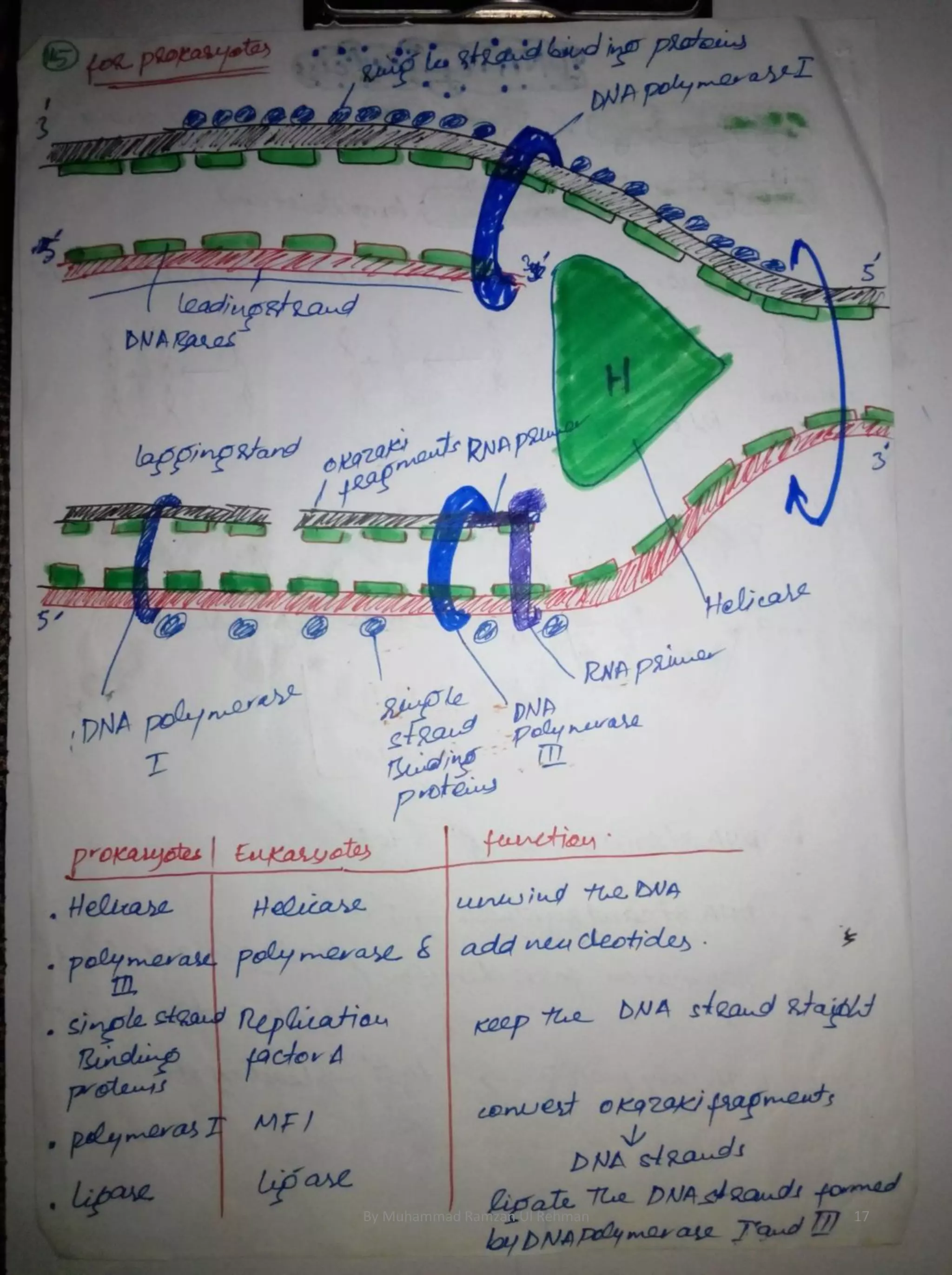 By Muhammad Ramzan Ul Rehman 17 
 