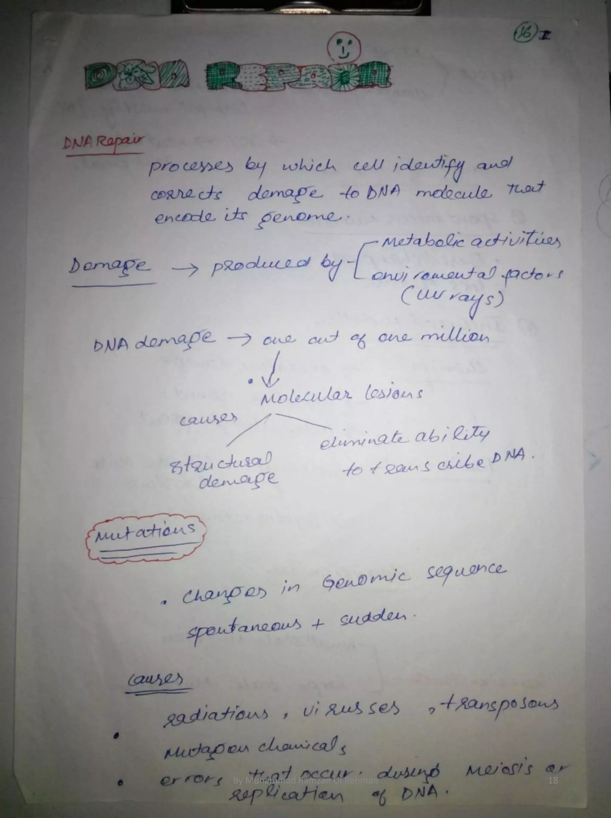 By Muhammad Ramzan Ul Rehman 18 
 