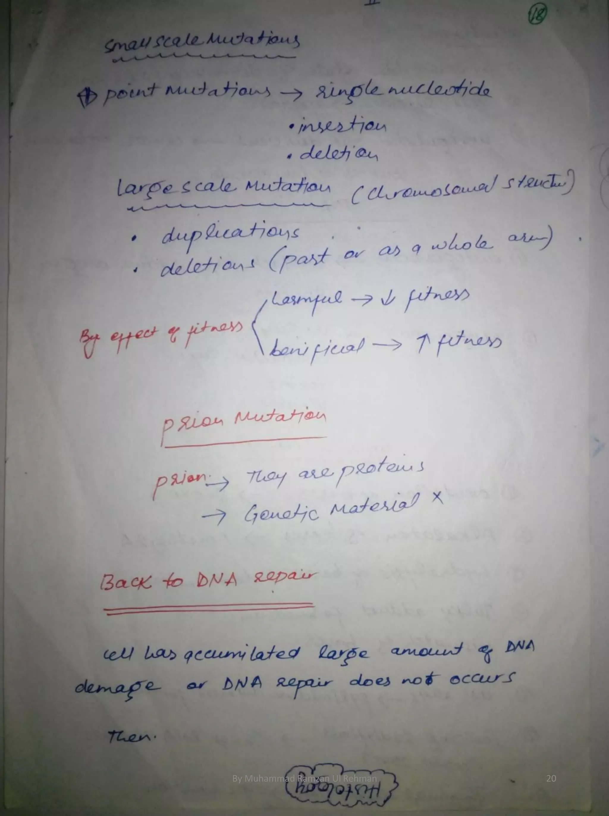 By Muhammad Ramzan Ul Rehman 20 
 