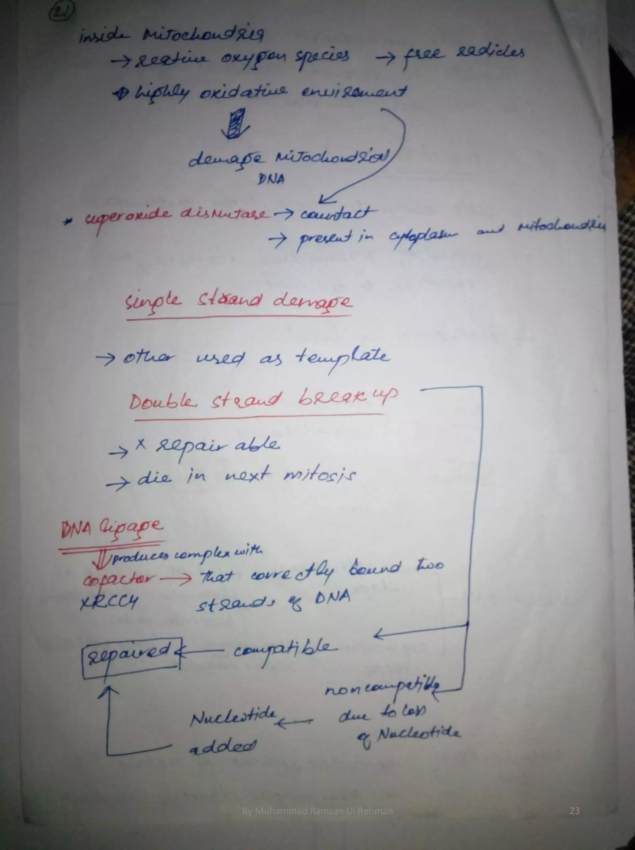 By Muhammad Ramzan Ul Rehman 23 
 