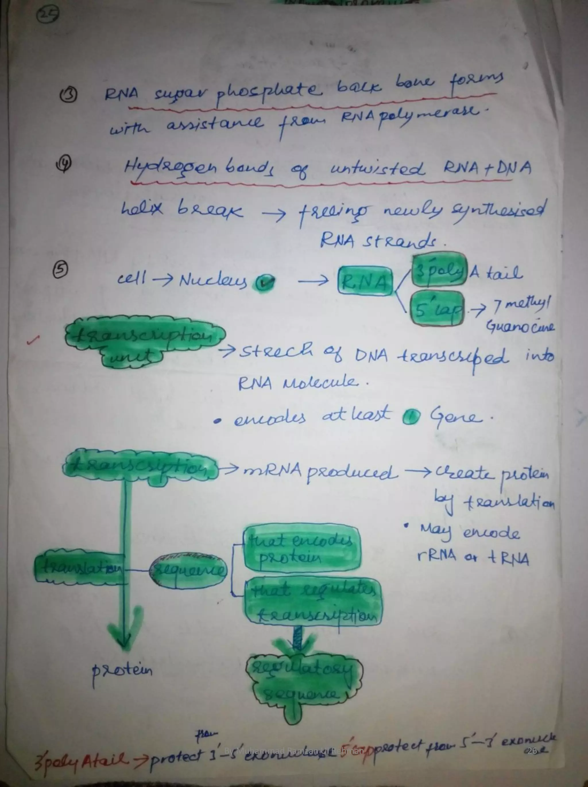 By Muhammad Ramzan Ul Rehman 26 
 
