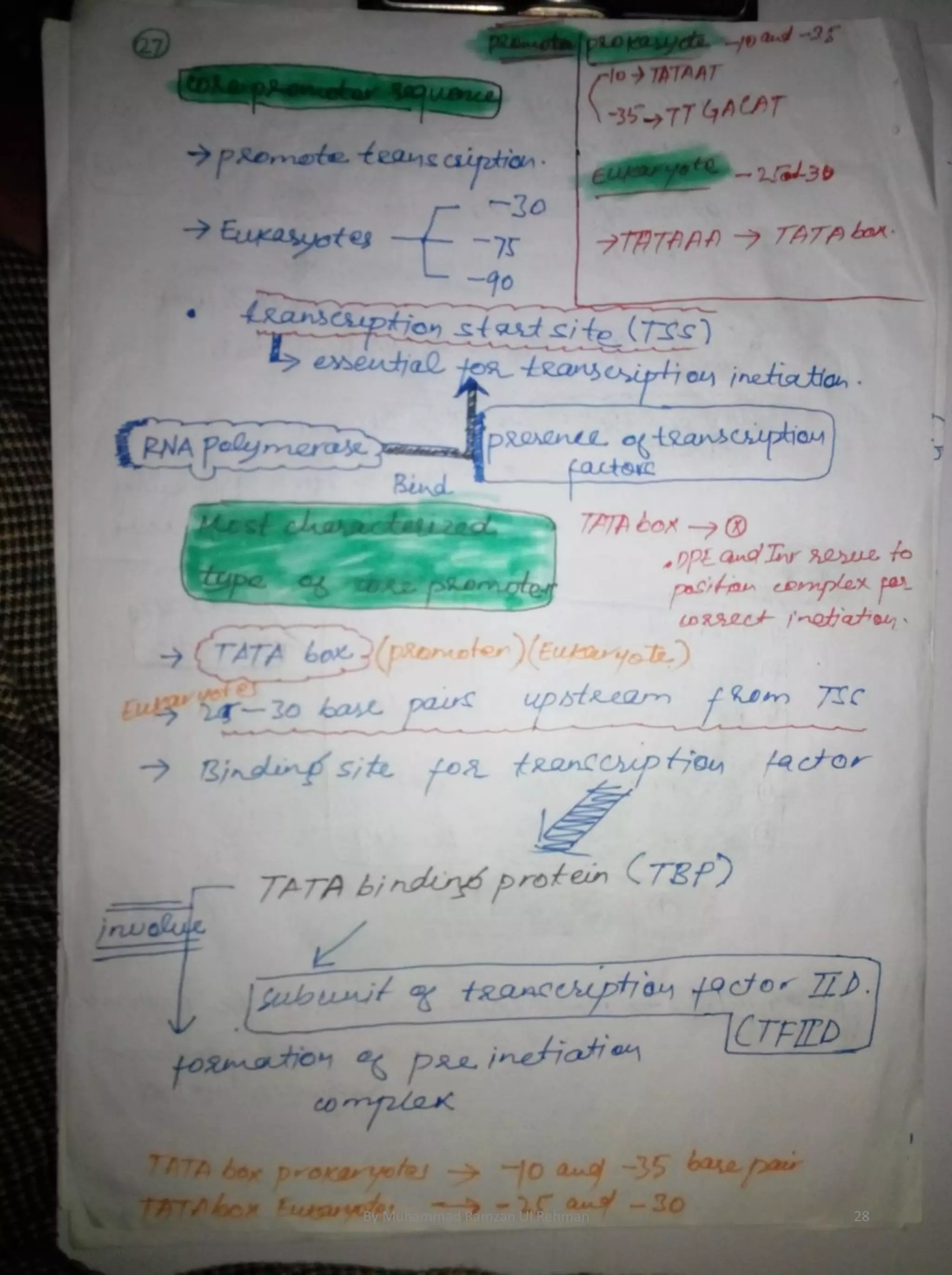 By Muhammad Ramzan Ul Rehman 28 
 
