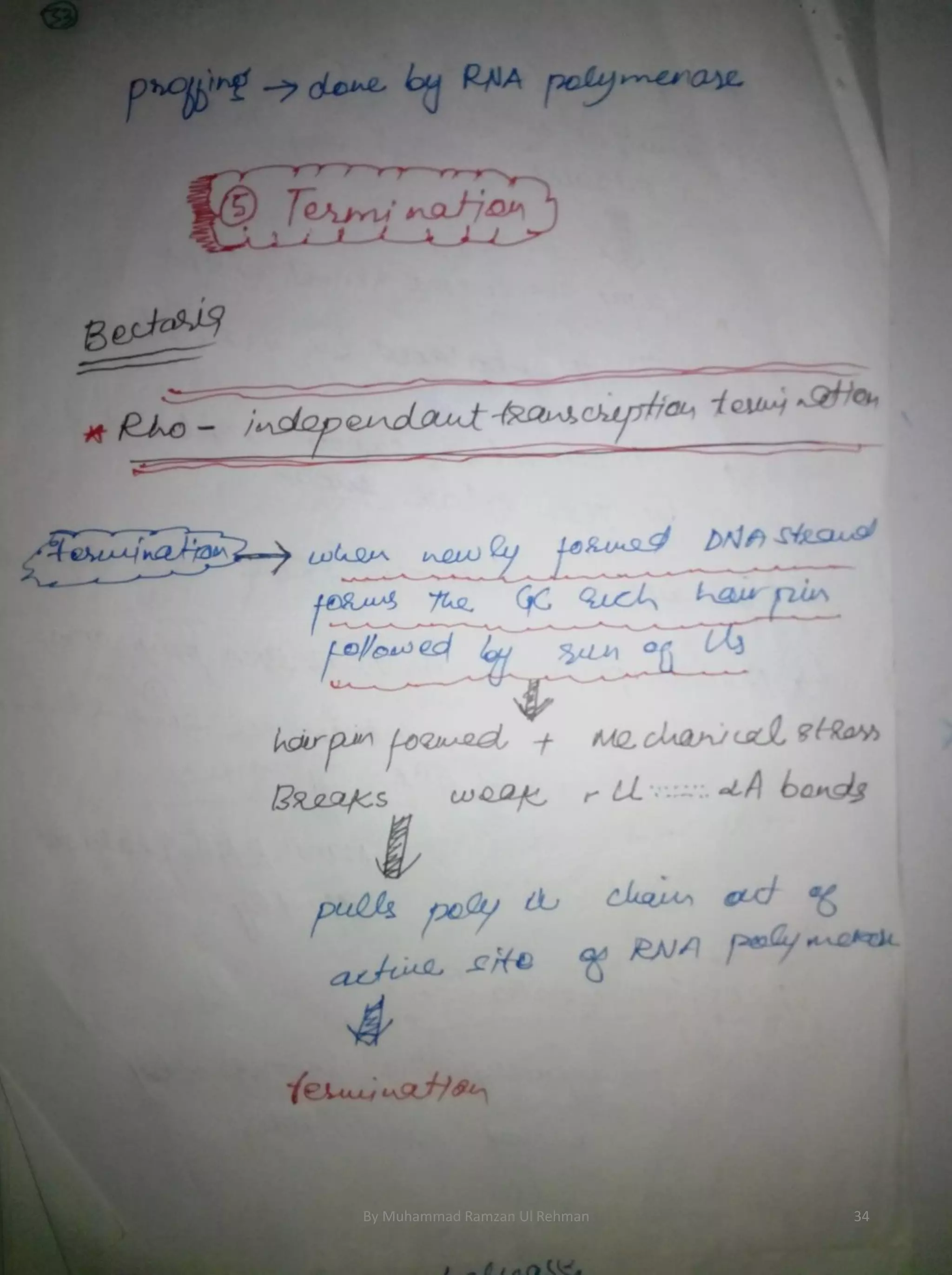 By Muhammad Ramzan Ul Rehman 34 
 