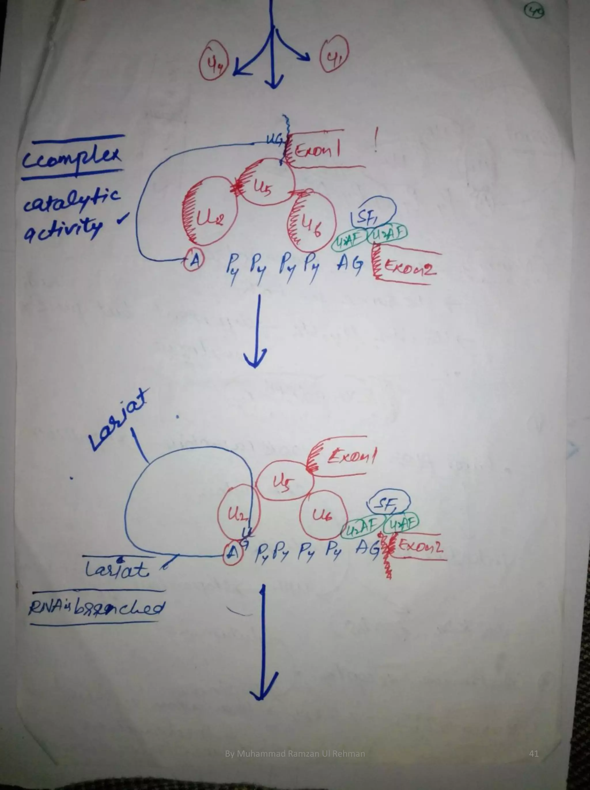 By Muhammad Ramzan Ul Rehman 41 
 