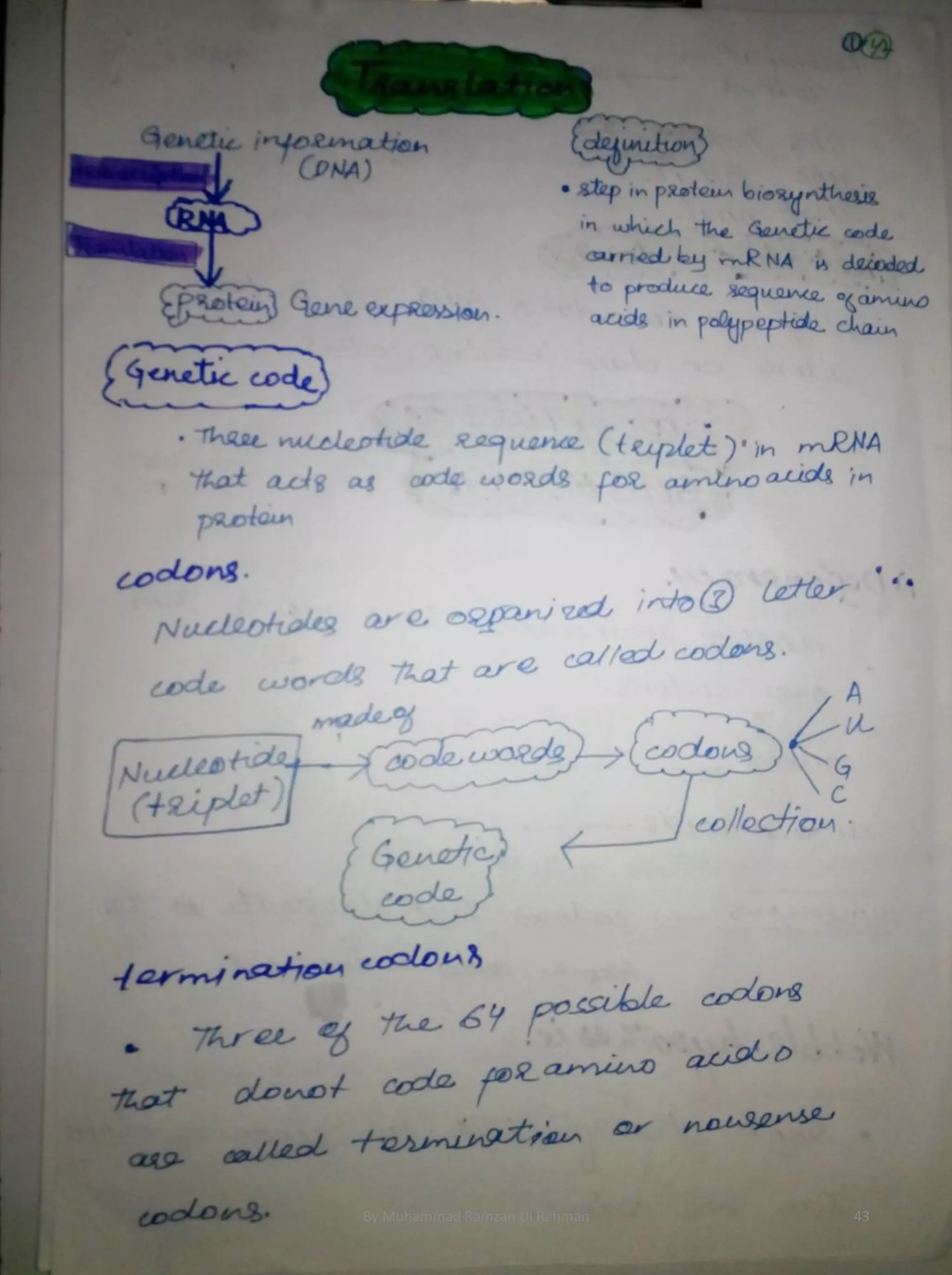 By Muhammad Ramzan Ul Rehman 43 
 