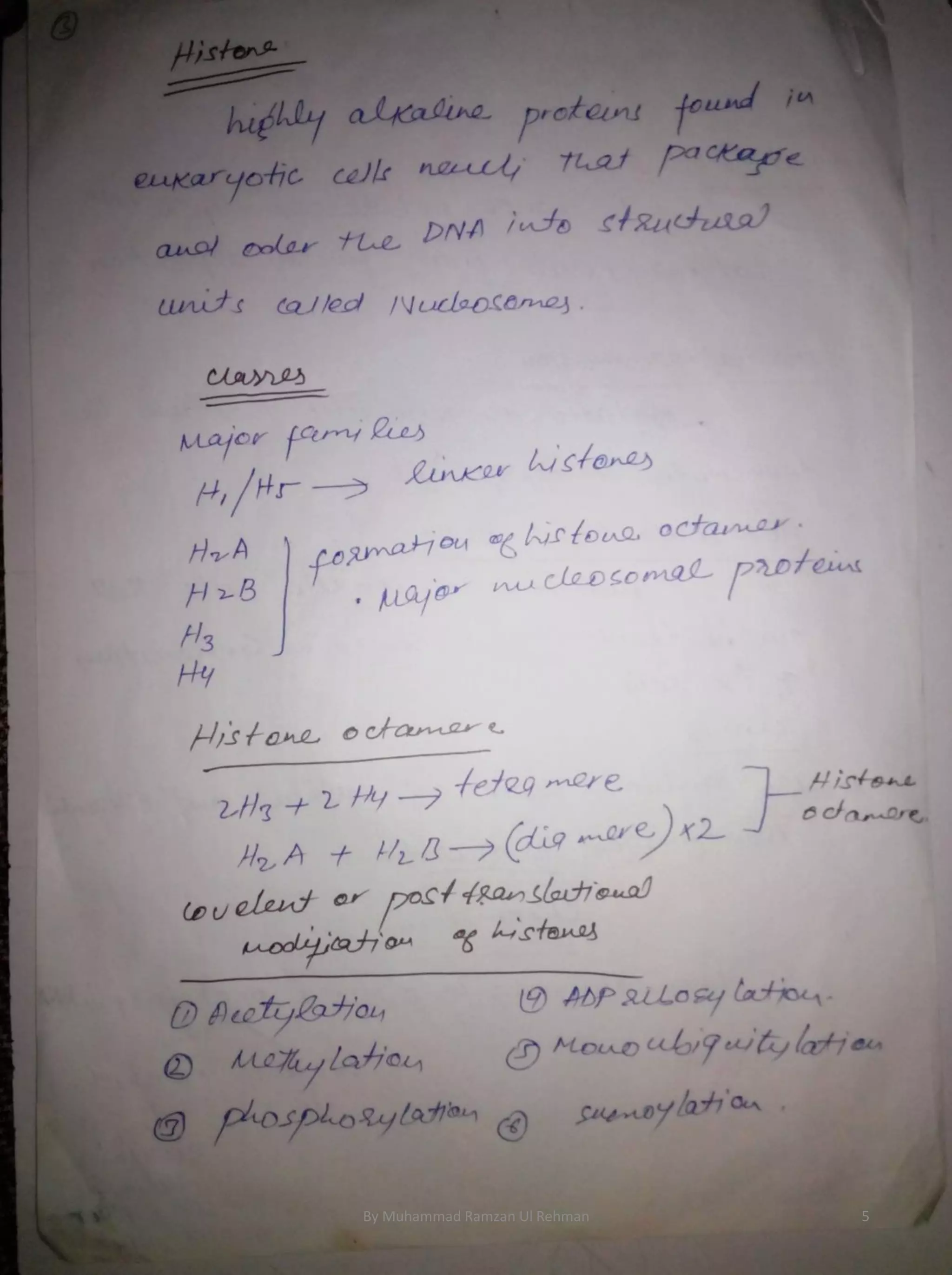 By Muhammad Ramzan Ul Rehman 5 
 