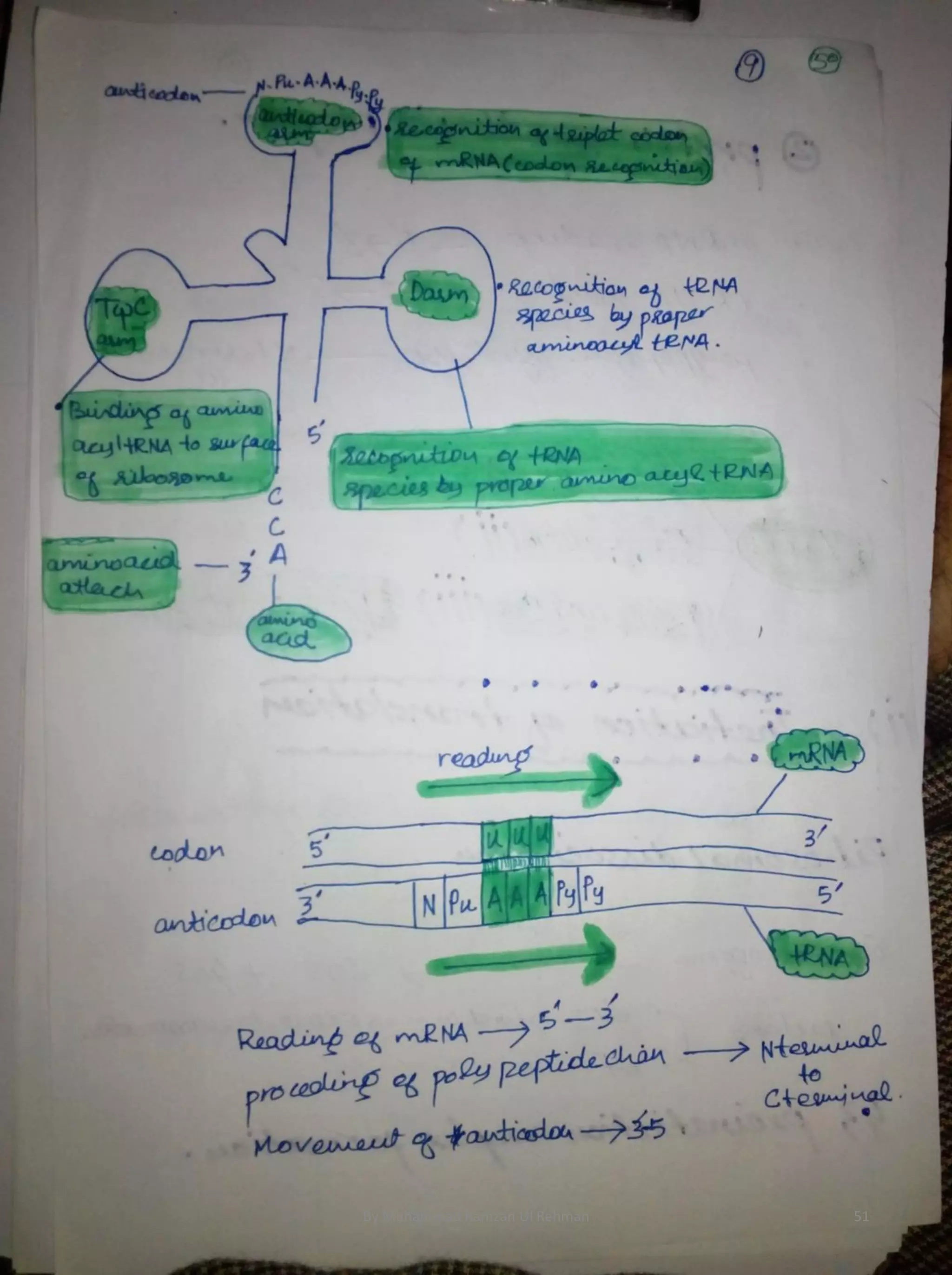 By Muhammad Ramzan Ul Rehman 51 
 