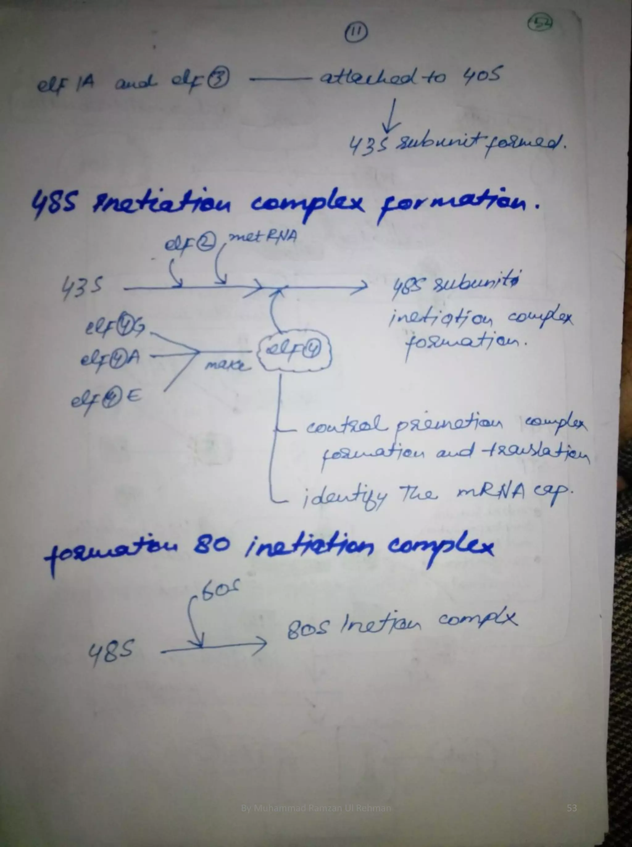 By Muhammad Ramzan Ul Rehman 53 
 