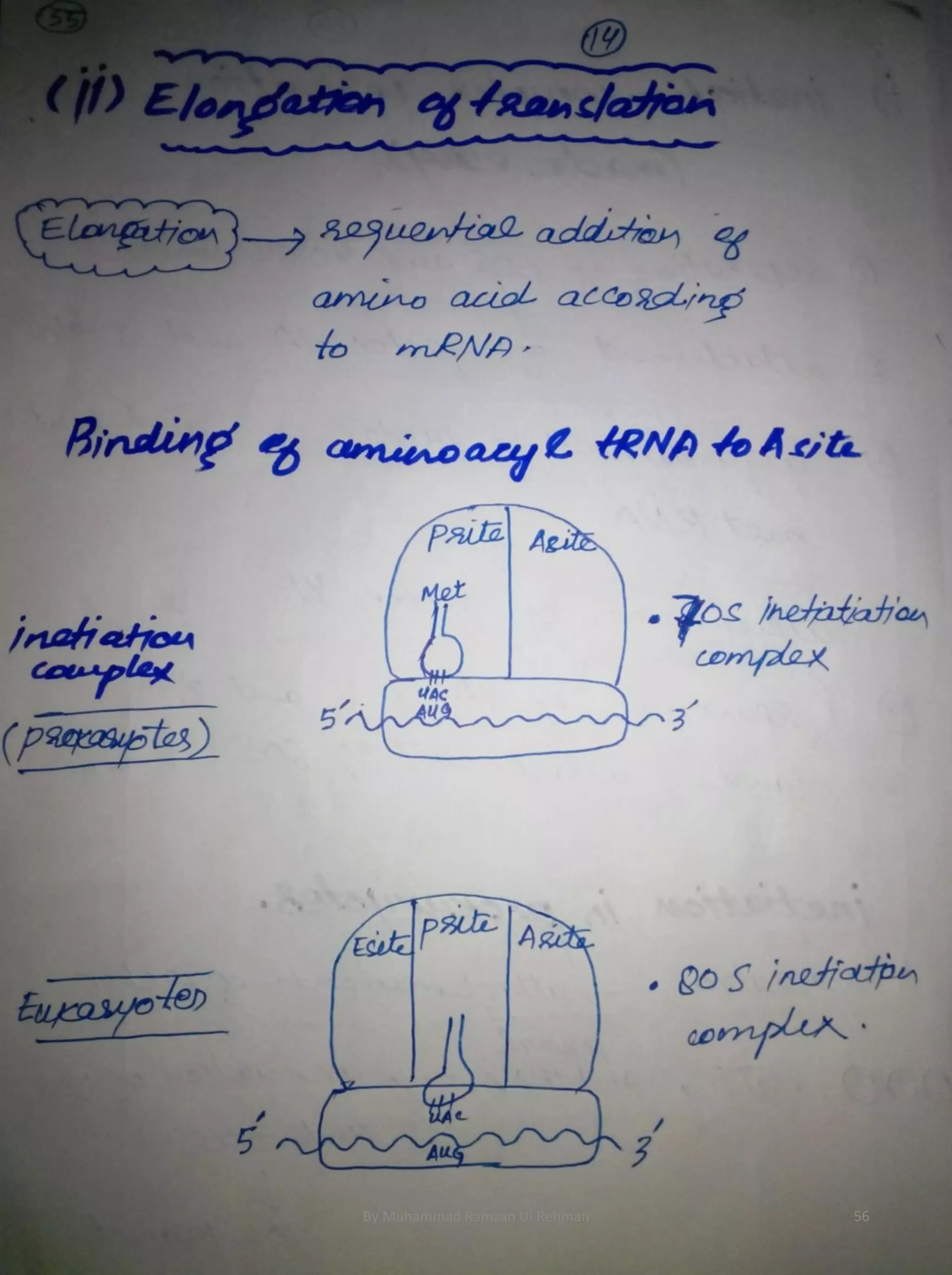By Muhammad Ramzan Ul Rehman 56 
 