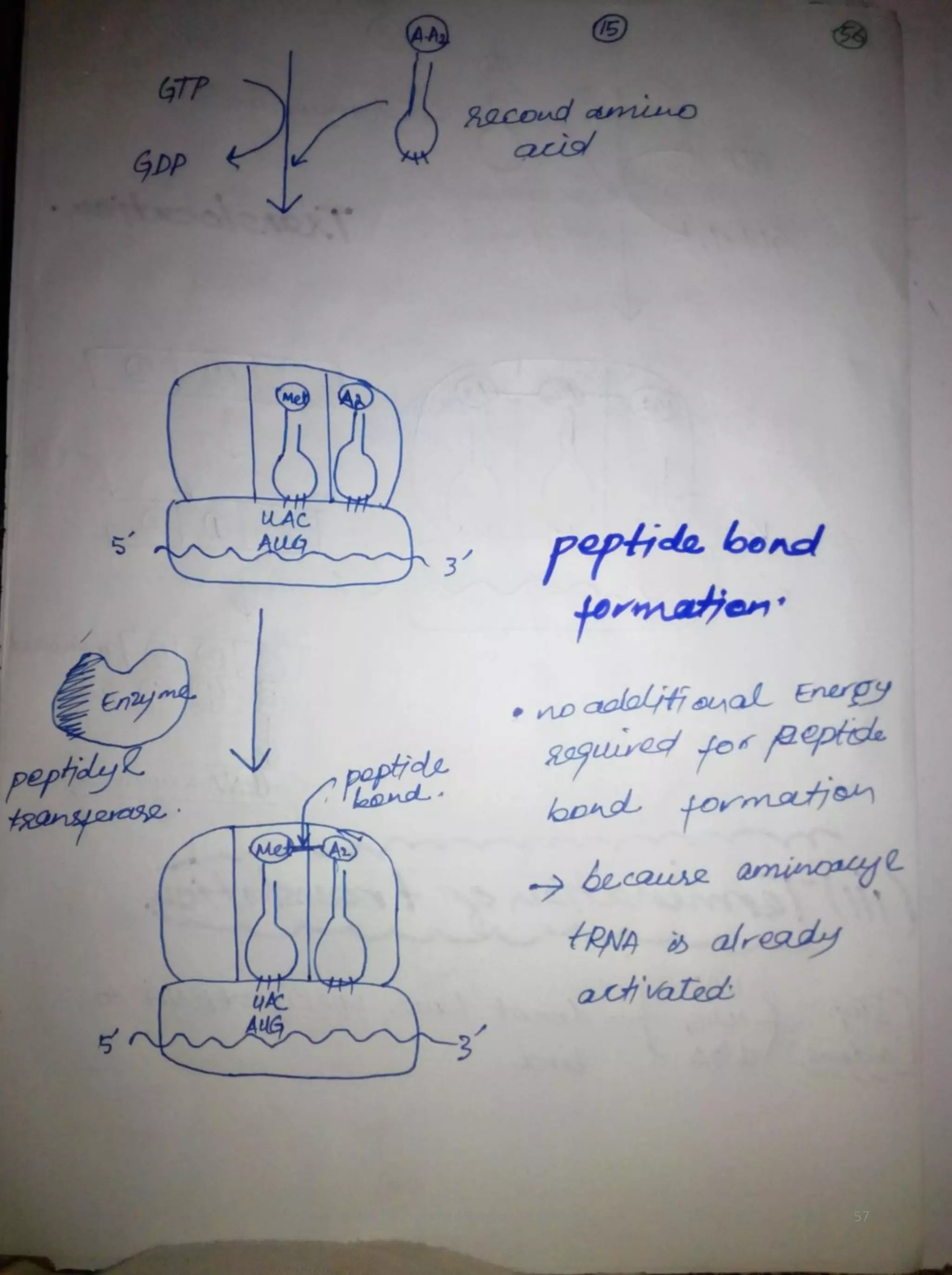 By Muhammad Ramzan Ul Rehman 57 
 