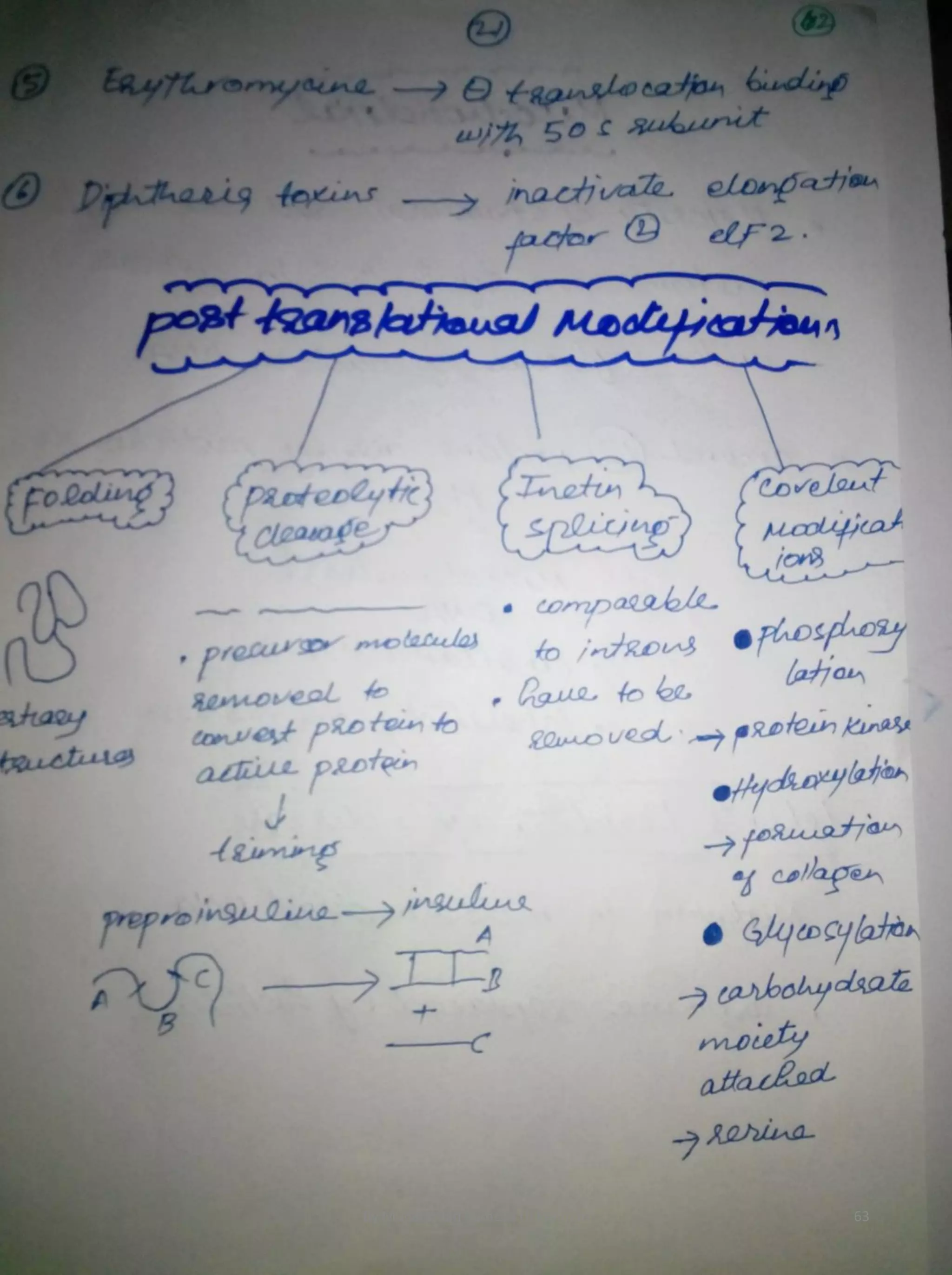 By Muhammad Ramzan Ul Rehman 63 
 