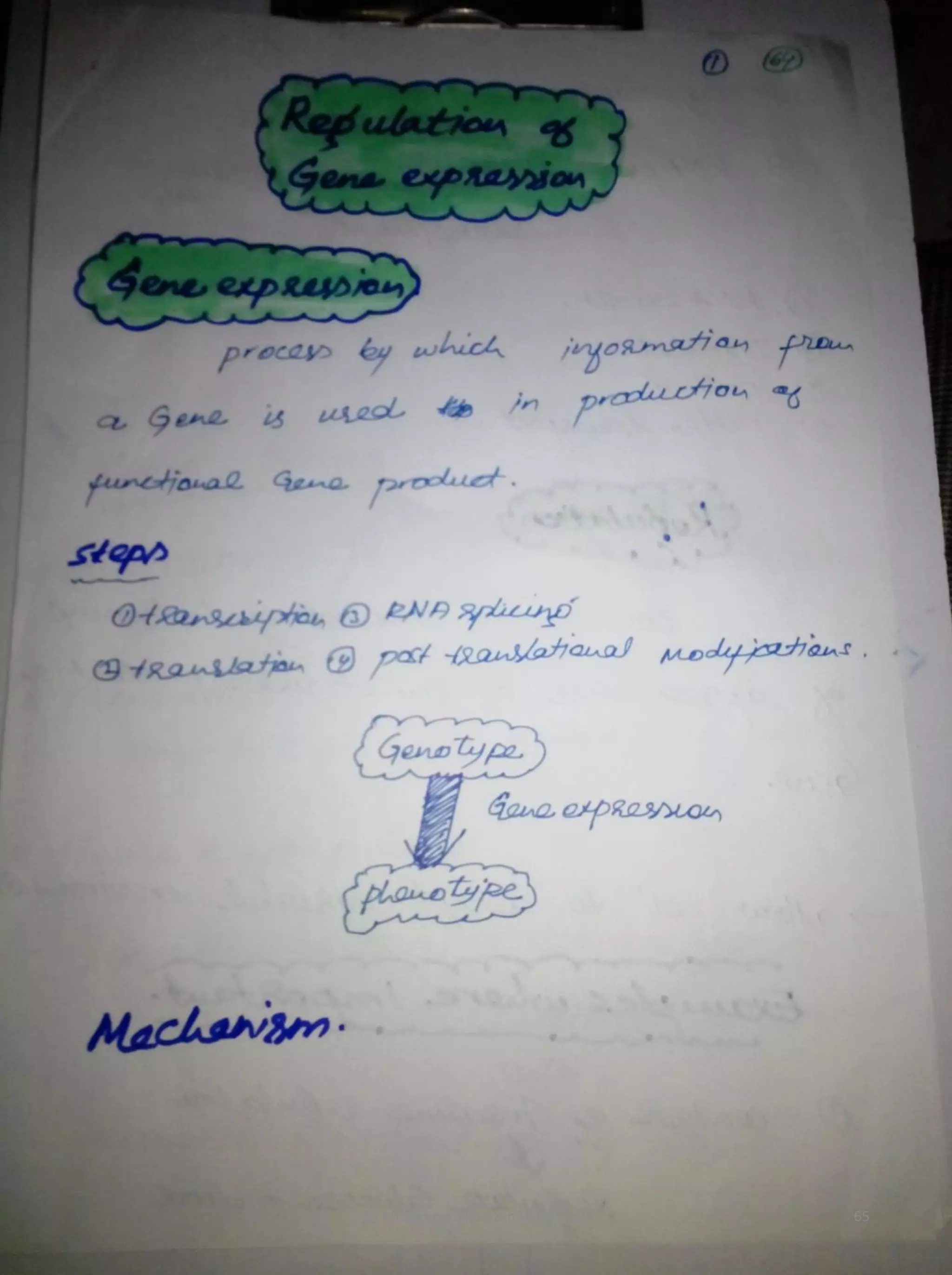 By Muhammad Ramzan Ul Rehman 65 
 