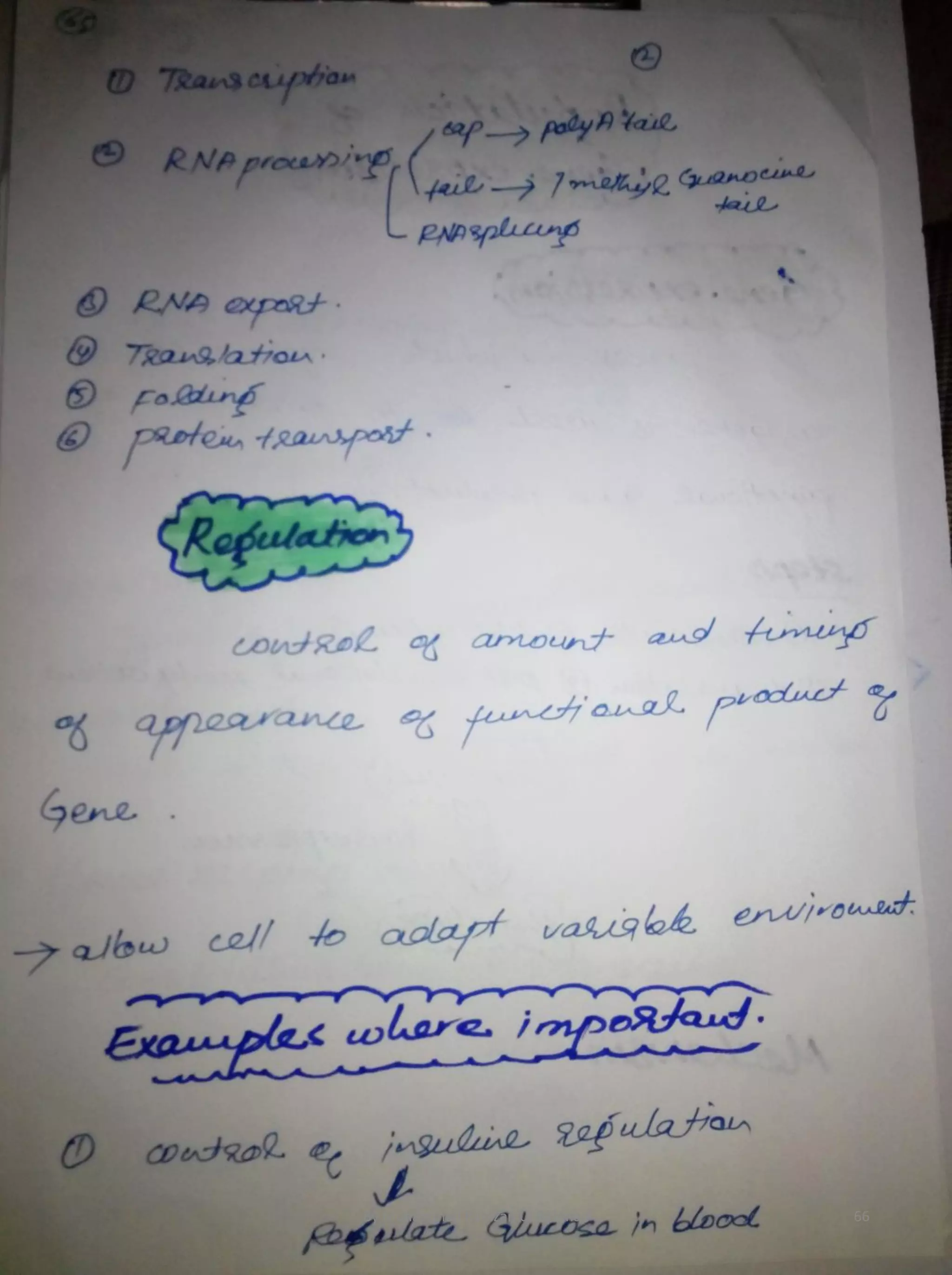 By Muhammad Ramzan Ul Rehman 66 
 