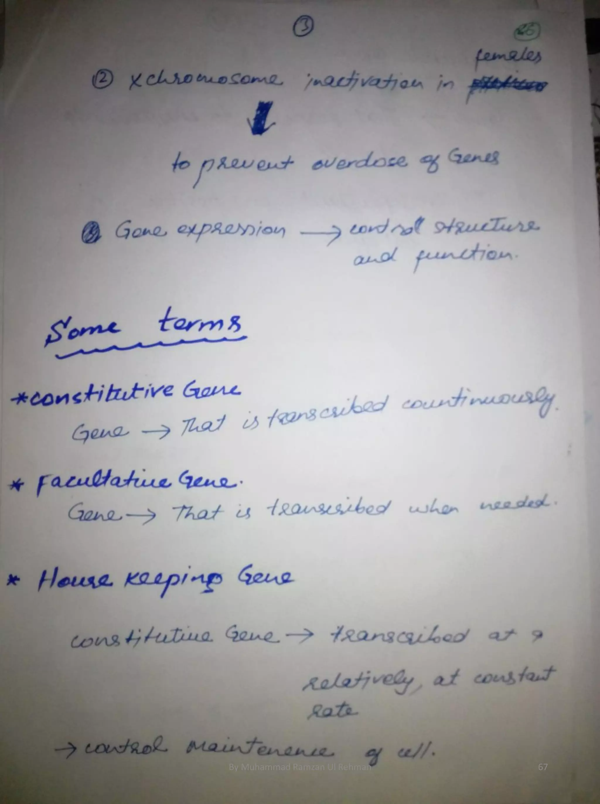 By Muhammad Ramzan Ul Rehman 67 
 