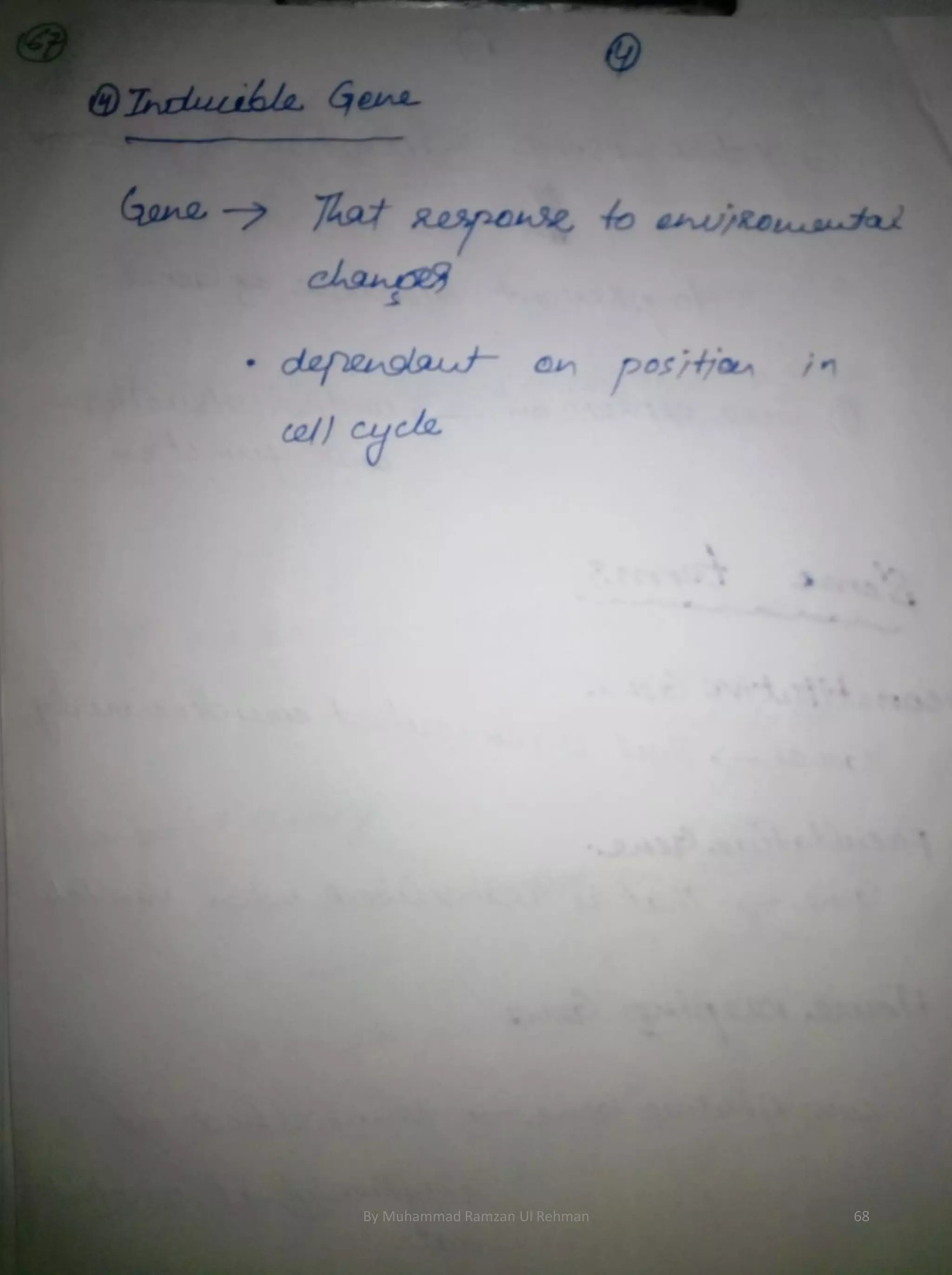 By Muhammad Ramzan Ul Rehman 68 
 