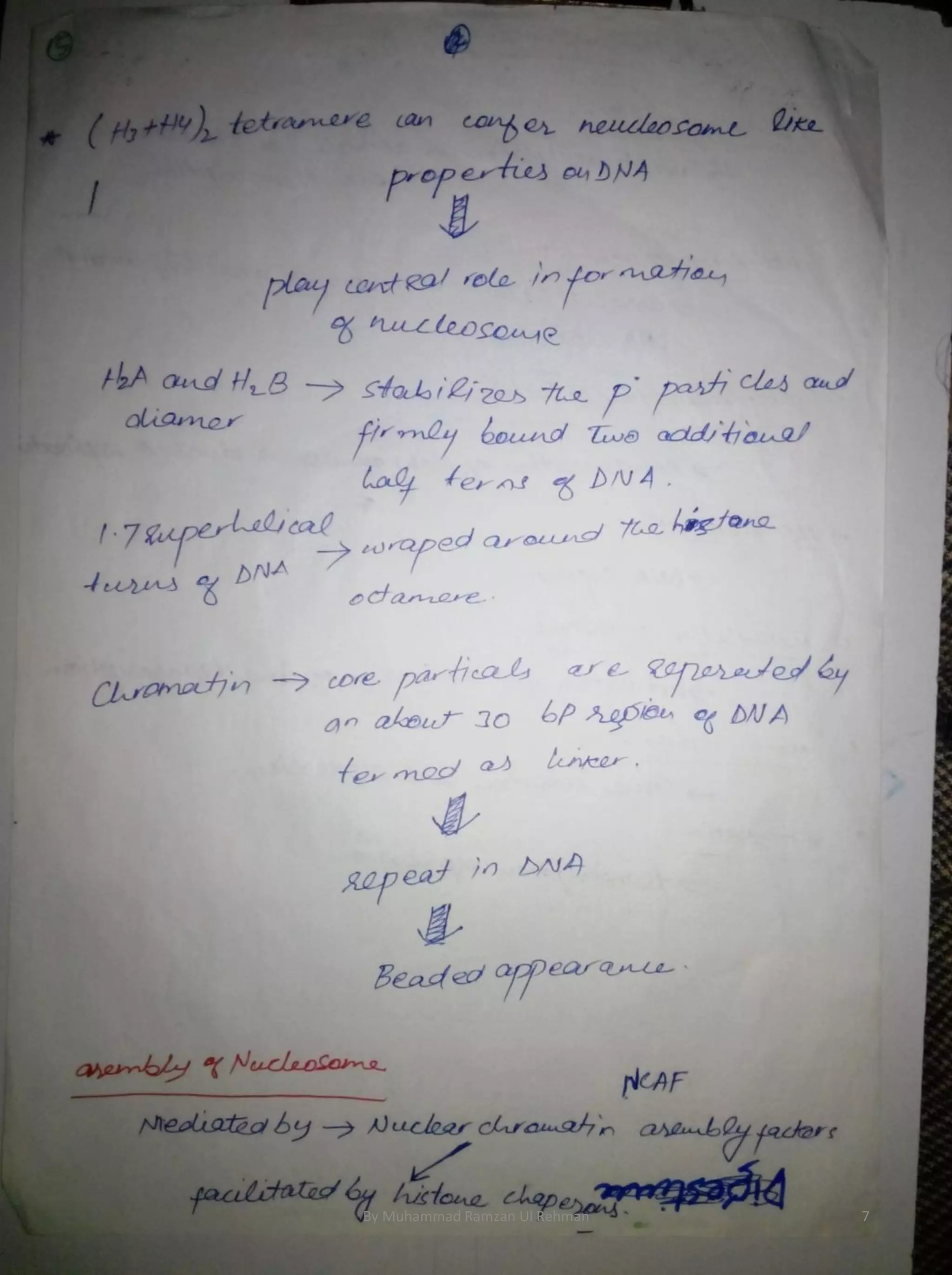 By Muhammad Ramzan Ul Rehman 7 
 