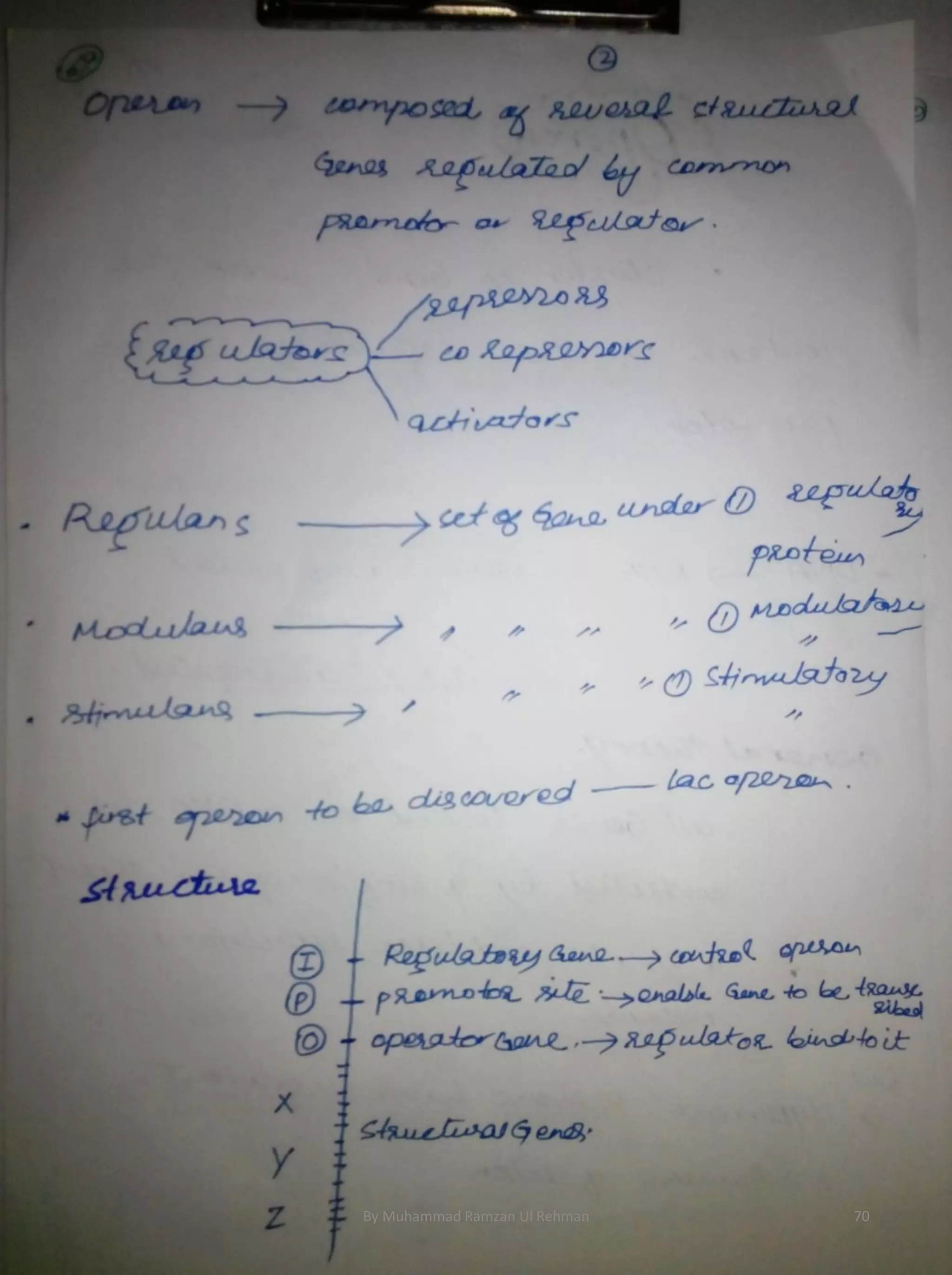 By Muhammad Ramzan Ul Rehman 70 
 