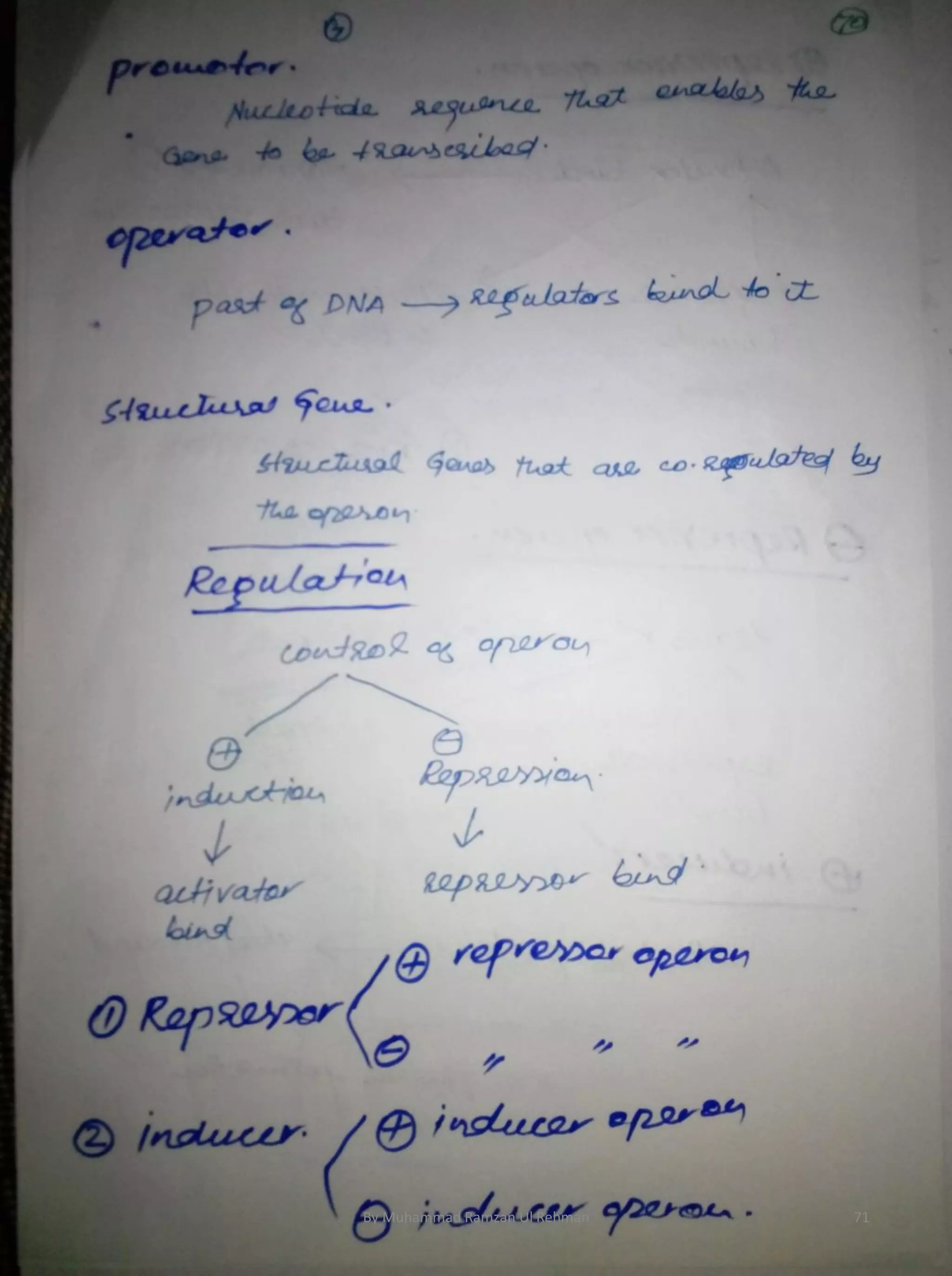 By Muhammad Ramzan Ul Rehman 71 
 