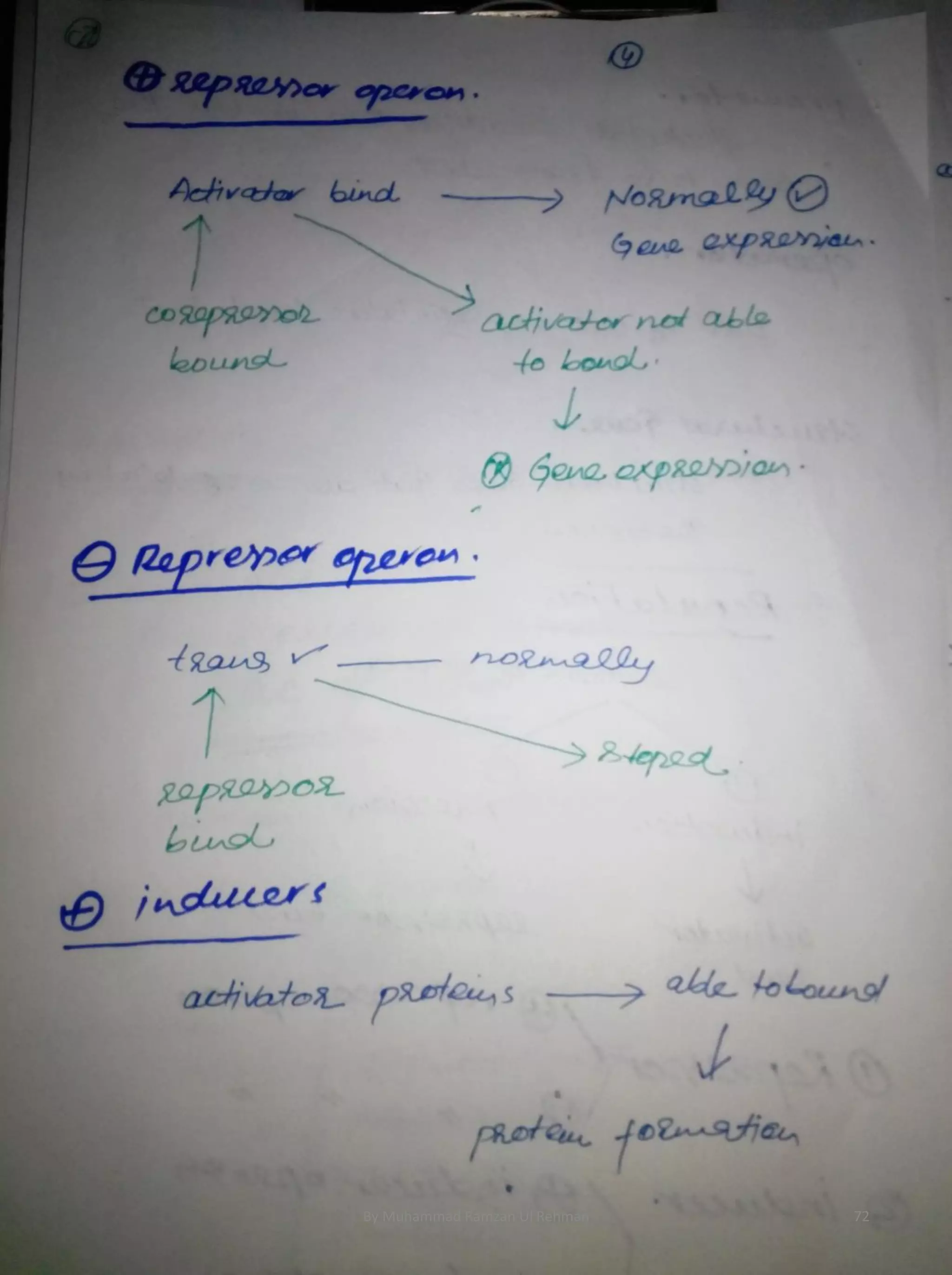 By Muhammad Ramzan Ul Rehman 72 
 