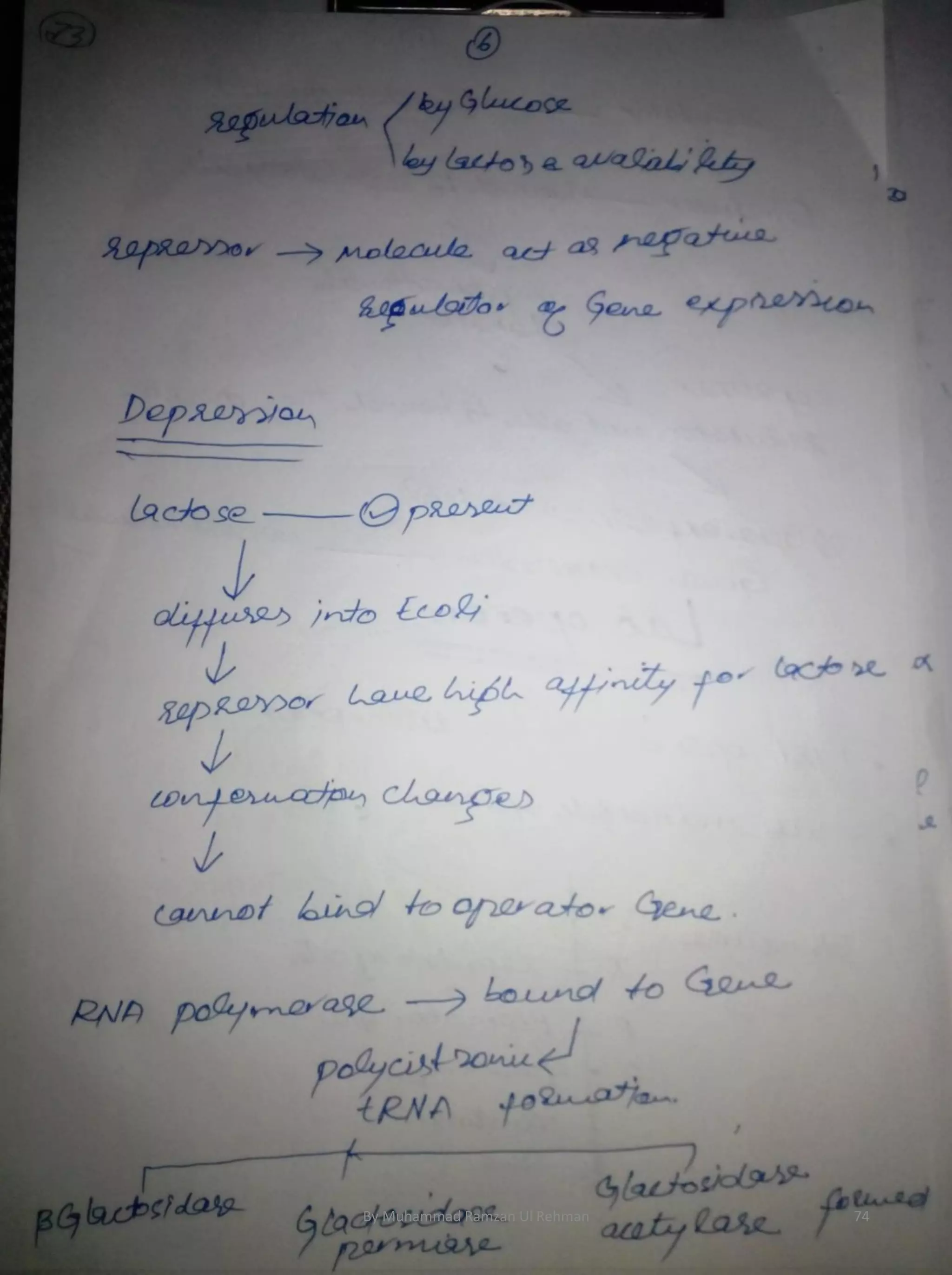 By Muhammad Ramzan Ul Rehman 74 
 