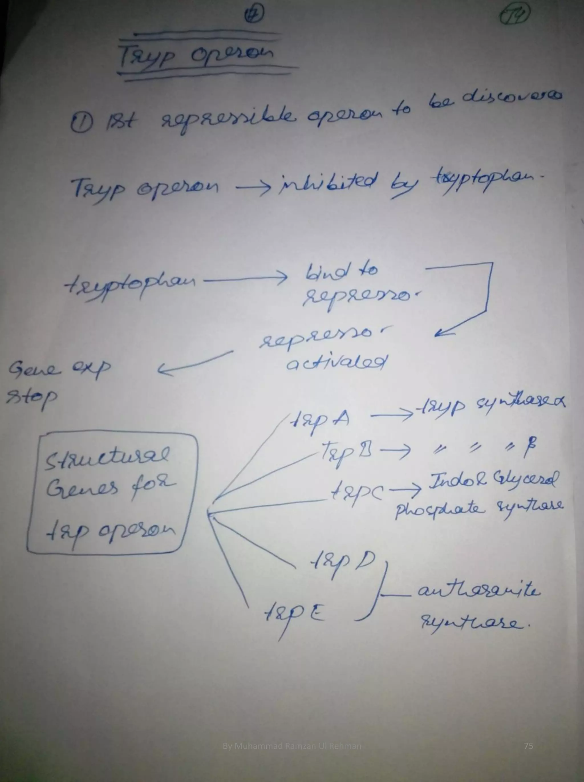 By Muhammad Ramzan Ul Rehman 75 
 
