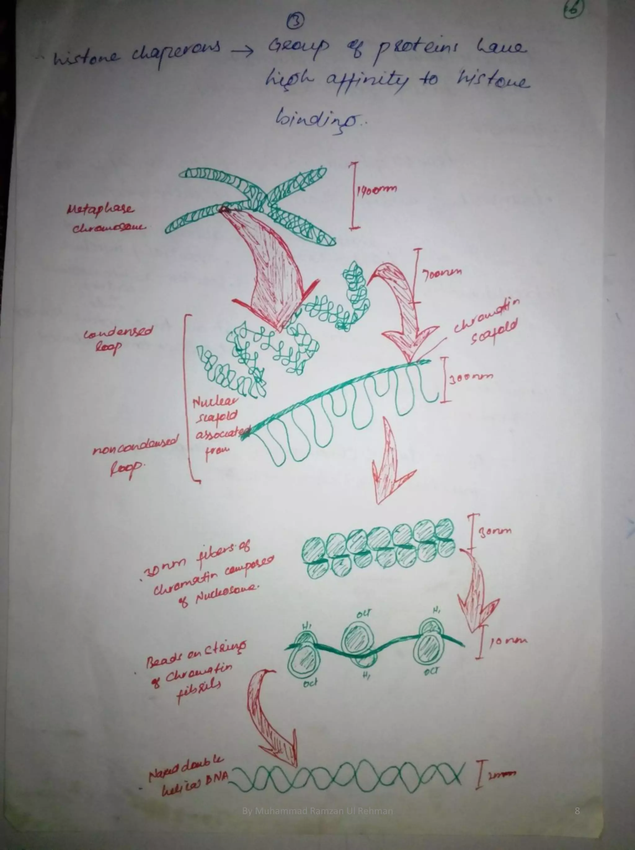 By Muhammad Ramzan Ul Rehman 8 
 