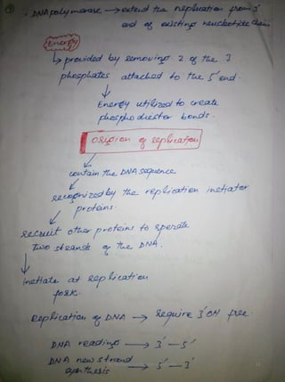 By Muhammad Ramzan Ul Rehman 11 
 