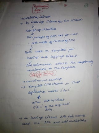 By Muhammad Ramzan Ul Rehman 12 
 