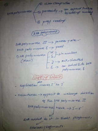 By Muhammad Ramzan Ul Rehman 13 
 