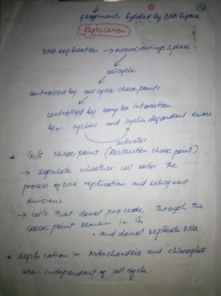 By Muhammad Ramzan Ul Rehman 14 
 